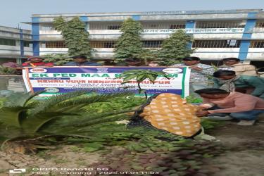 Community Development